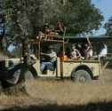 Private Safari in Sonoma Serengeti
