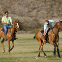 Intro to Polo for Two